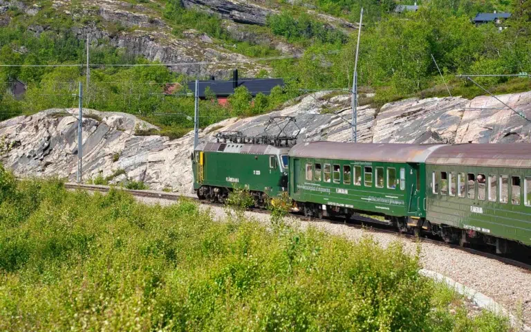 Flåmsbana, joyau nordique de Norvège - Norvège