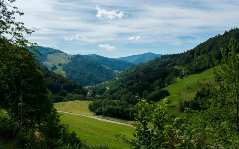 Secrets de la Forêt Noire et légendes du Rhin (Allemagne/Suisse) - Allemagne > Suisse