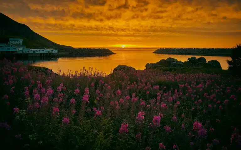 Soleil de minuit et Train arctique - Suède > Norvège