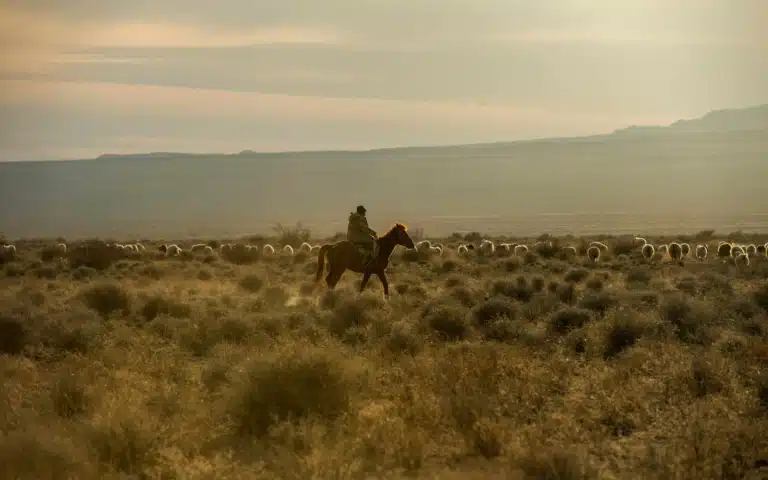 Les Rails de la Steppe et du Désert - Kazakhstan > Ouzbékistan